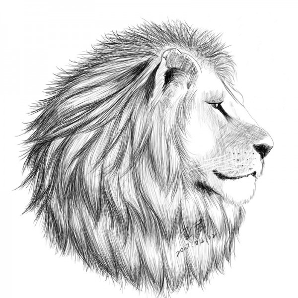 獅頭數位鉛筆素描